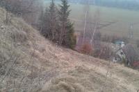 Poplze