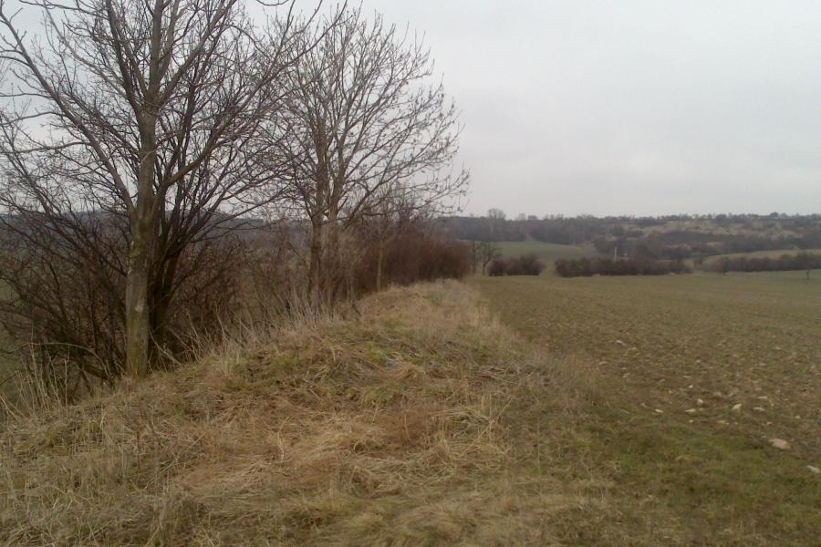 Poplze