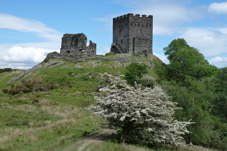 Dolwyddelan Castle