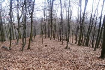  ( © Prudký Martin 02/2014)