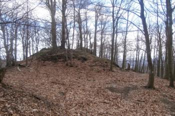 Předpolí hrádku. ( © Prudký Martin 02/2014)