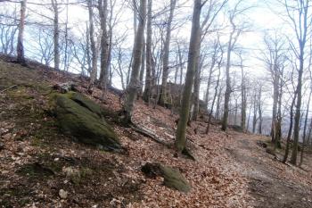 Přístupová cesta. ( © Prudký Martin 02/2014)
