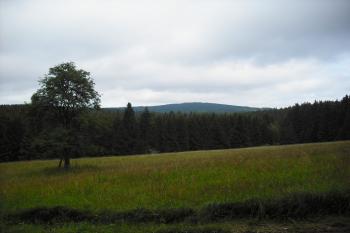 Vrch Javorná (© David Jaroš)