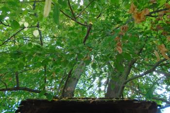  (© Jaroslav Špiroch  09/2025)