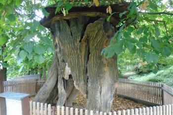  (© Jaroslav Špiroch  09/2025)