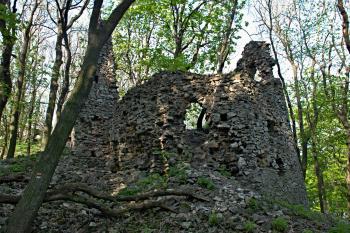 (© Pavel Dolanský, 05/2008)