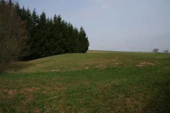  ( © Petr Nožička 04/2013)