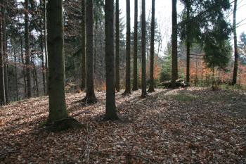  ( © Petr Nožička 04/2013)