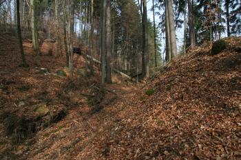 ( © Petr Nožička 04/2013)