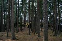 Pařízek