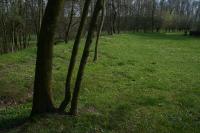 Mackov