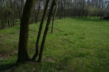  ( © Petr Nožička 04/2013)