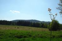 Krudum