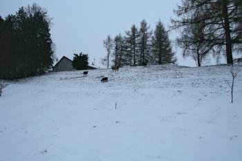  (© Petr Nožička 01/2013)