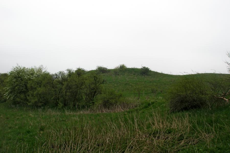 Vidhostice