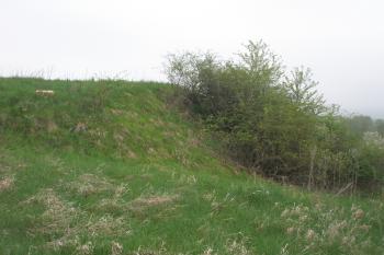 Jihovýchodní okraj tvrziště (© Prudký Martin, 05/2013)
