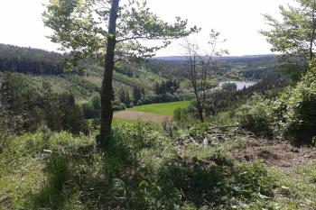 Hrad Myslejovice - Pohled z mýtiny vrcholu směrem k jihu, do údolí Drahanského potoka s vodní nádrží - prostory voj.újezdu (© Ivo Rozehnal, 05/2013)