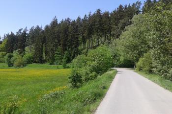 Hrad Myslejovice - zde začíná střežený vojenský újezd. Kopec Zámčisko je skryt za smrky. Odbočka vpravo k hájence a pak vlevo do polozarostlé lesní cesty ...  (© Ivo Rozehnal, 05/2013)