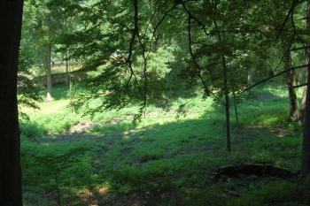 bývalá zámecká zahrada (© Rodochrozit        , 07/2012)