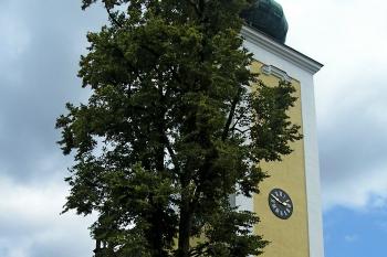Kostel po rekonstrukci (© OÚ Nový Malín 07/2013)