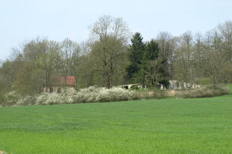 židovský hřbitov