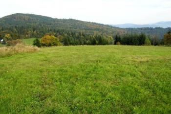 výhled z lokality na horu Gírová ( © Jan P. Štěpánek 2005)