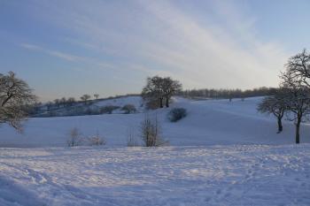  (© Prudký Martin, 01/2010)