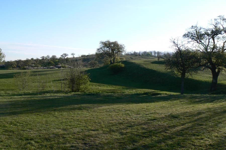 Šibeník