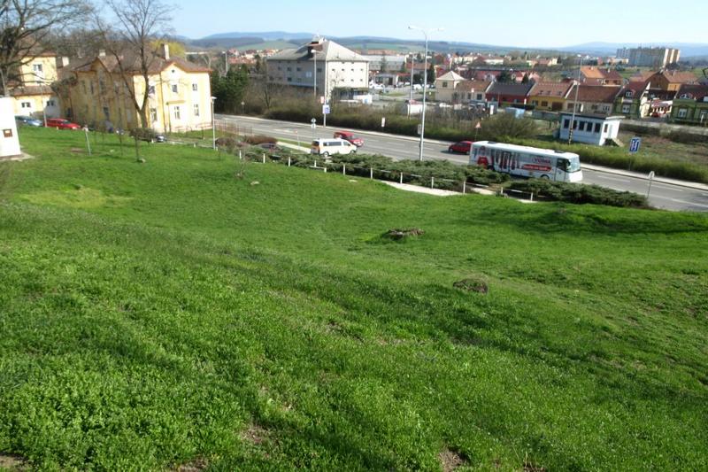 starý židovský hřbitov