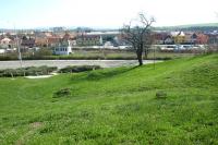 starý židovský hřbitov