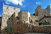 Migdal David