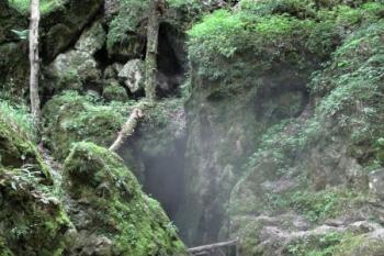 celkový pohled na skálu, v níž mizí Jedovnický potok (© Jan P. Štěpánek 06/2013)