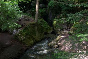 Propadání Jedovnického potoka do jeskynního systému (© Ivo Rozehnal  06/2021)