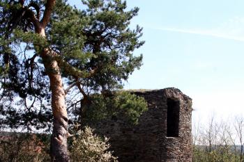 Bergfrit z nejvyššího místa hradu ( © Iva Spurná 29.4.2010)