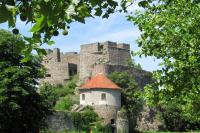 Levice