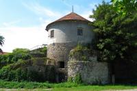 Levice