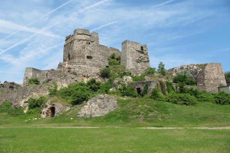 Levice
