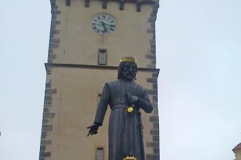  (© Vojtěch Barcal, 07/2013)