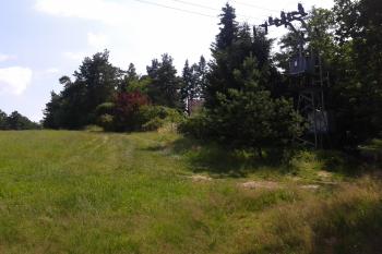 Foto č. 4 – severní část lokality (© Ivo Rozehnal, 07/2013)