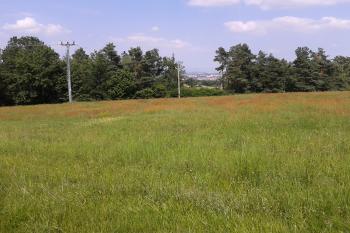 Foto č. 6 – pohled z plochy hradiště na centrum Prostějova (© Ivo Rozehnal, 07/2013)