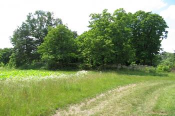 polní cesta od silnice (© Rodochrozit, 07/2013)