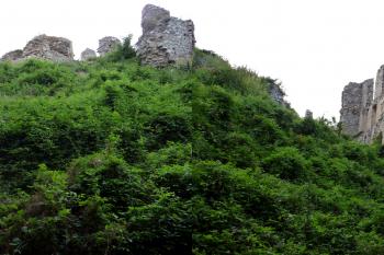 Oponický hrad (© Milan Novotný, 07/2013)