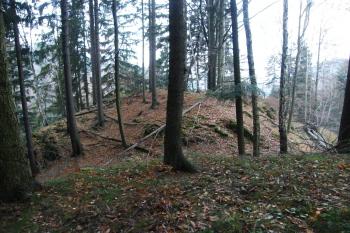 Mladkovský hrádek - celkový pohled na vnitřní plošinu (© Zdeněk Fišera 2011)