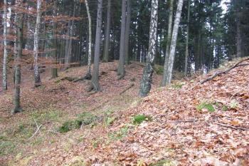 Mladkovský hrádek - záběr boční strany čelního příkopu (© Zdeněk Fišera 2011)