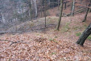 Mladkovský hrádek - venkovní val ukončující příkop do parkánu (© Zdeněk Fišera 2011)