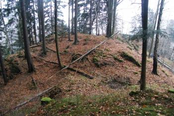 Mladkovský hrádek - pohled na jádro z čelní stěny (© Zdeněk Fišera 2011)