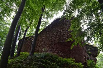Břecštejn (© Daniel Šmidrkal, 07/2012)
