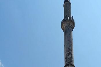  (© František Kinař, 09/2013)