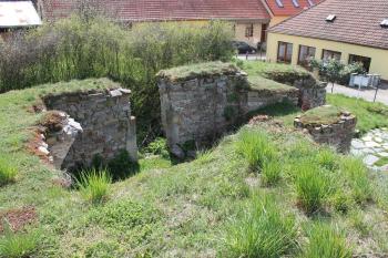 zříceniny tvrze Kralice nad Oslavou (© Vlastislav Mareček, 04/2015)