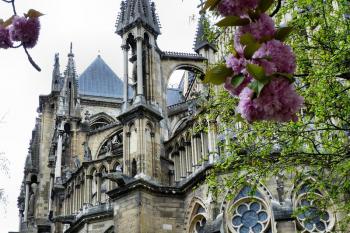  ( © František Kinař 05/2017)